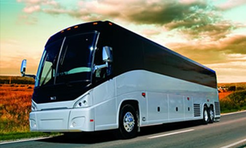 Charter bus services